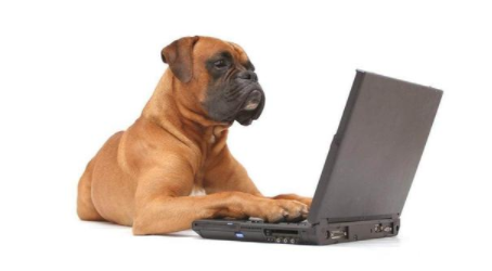 会玩阿汪正确暗号合集