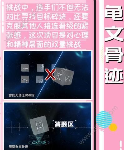 龟文古迹破解版图1