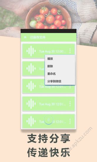 绝地求鸡变声器apk图2