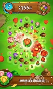 绽放花朵传奇安卓版图2