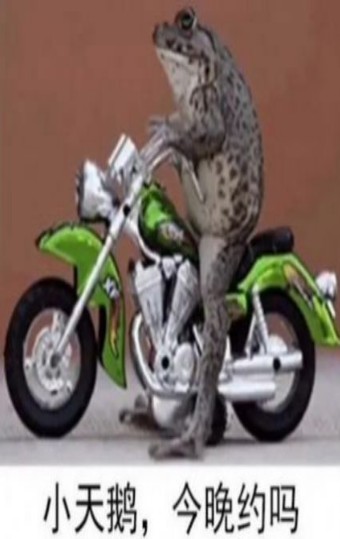 小天鹅就这样飞走了表情包图2