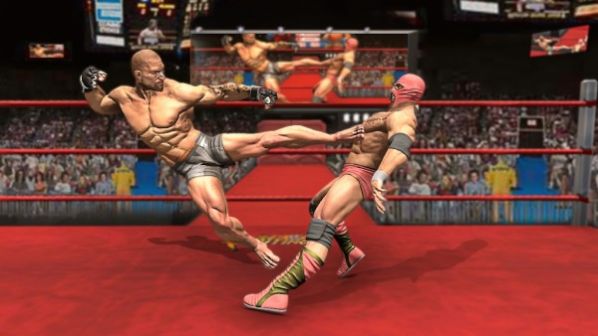 拳击拳手游戏安卓手机版  v1.0图2