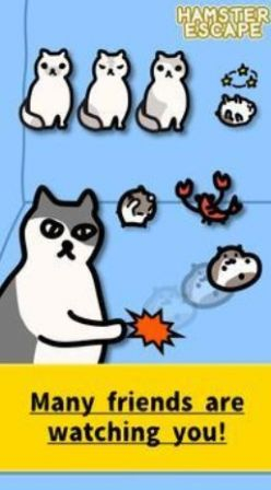 仓鼠快逃游戏安卓版图1