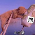 小白菜今晚有空吗表情包动态图