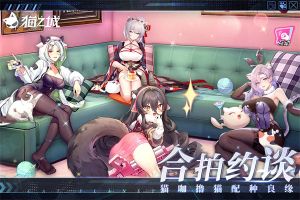 猫之城最新版图3
