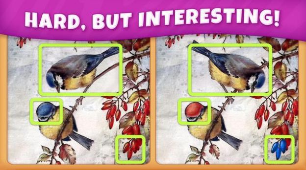 眼界发现差异游戏图2