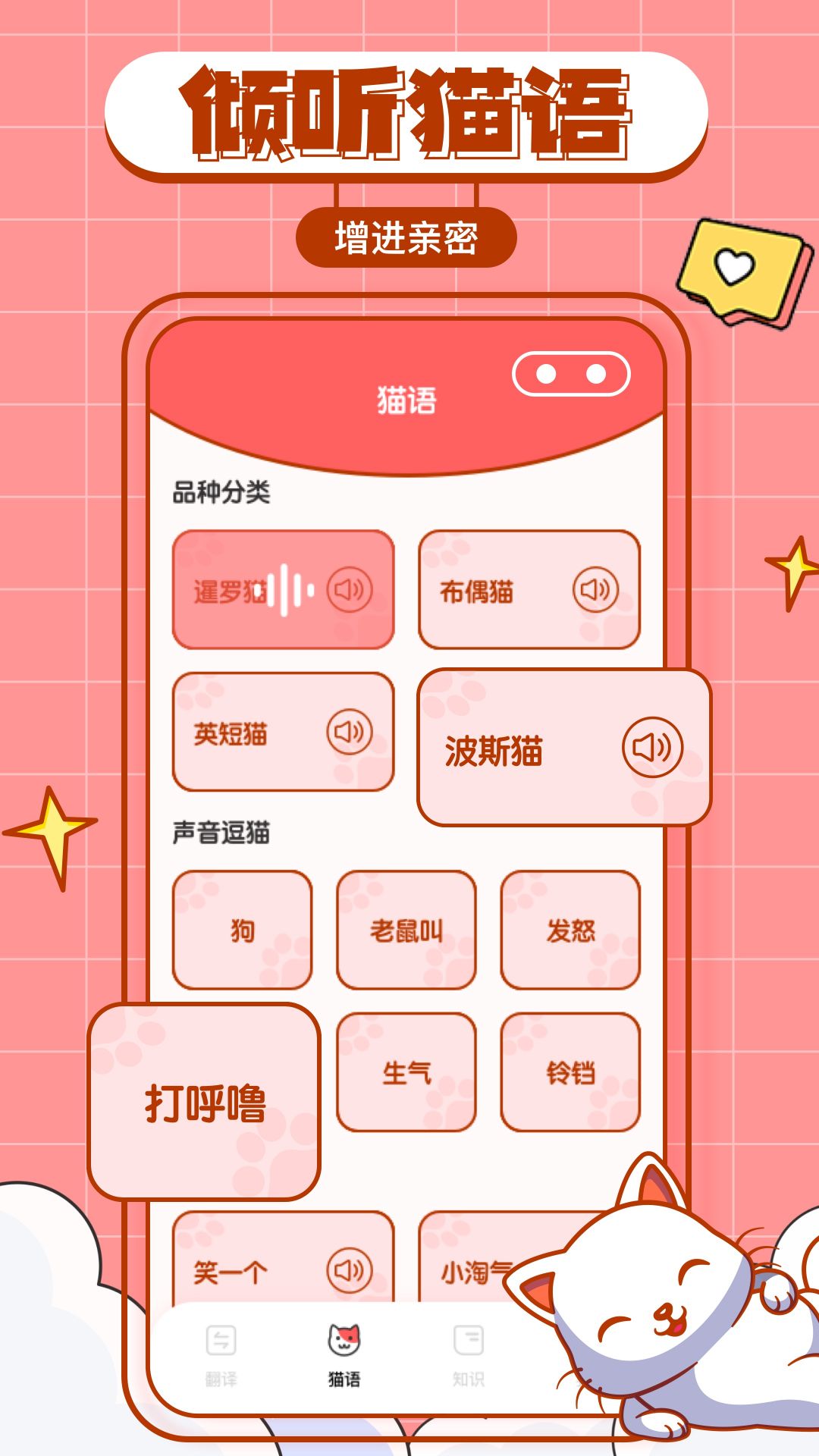 猫咪翻译物语app最新版  v1.0.0图1