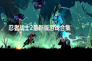 忍者战士2版本大全