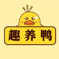 趣养鸭app红包版  v1.0.0
