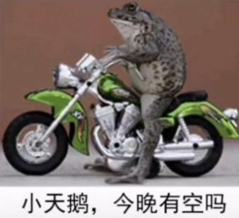 小天鹅我想你了表情包图4