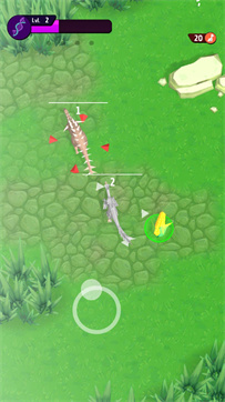 动物进化挑战图3