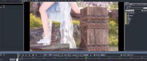 大宋映画编辑器手机版图1