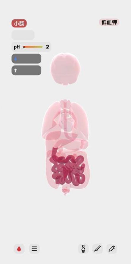 生命人体模拟器安卓汉化中文版  v1.0图1