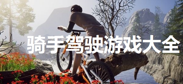 骑手驾驶游戏大全