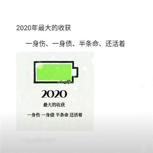 抖音2020年最大的收获壁纸图1