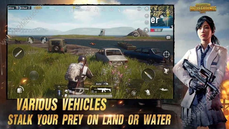 pumg moble外国版图5