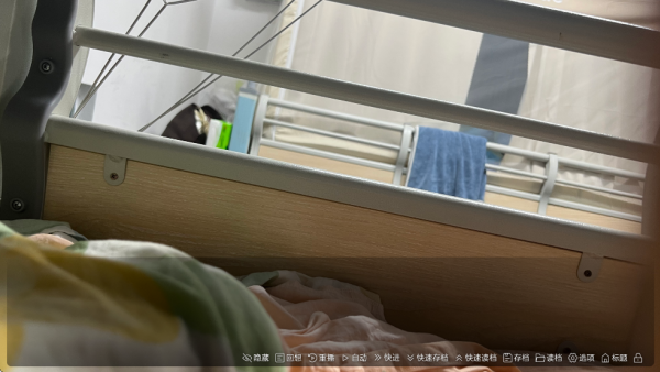 沙湖神大人求包养游戏手机版图1