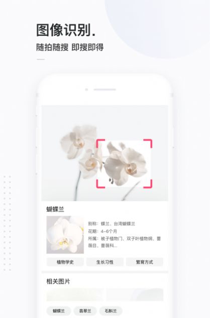 2020年网站你了解的图3