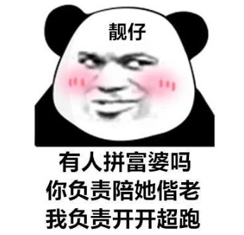 抖音名媛熊猫头表情包图3