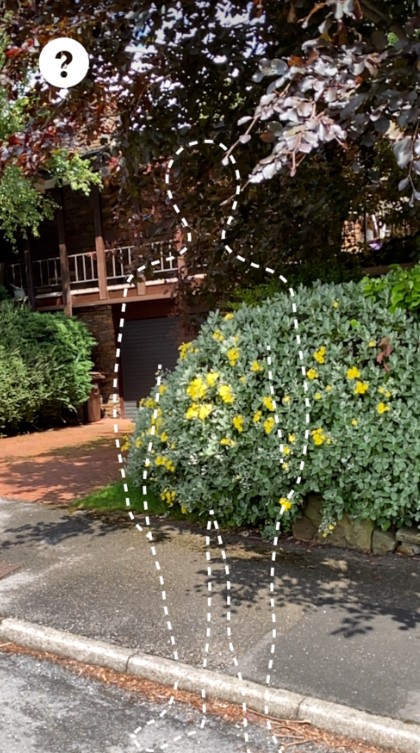 Super You ar软件app官网下载  v2.1图1