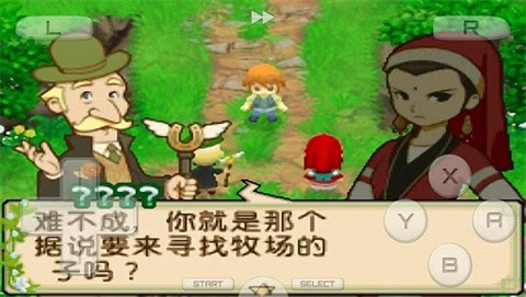 牧场物语双子村汉化版图2