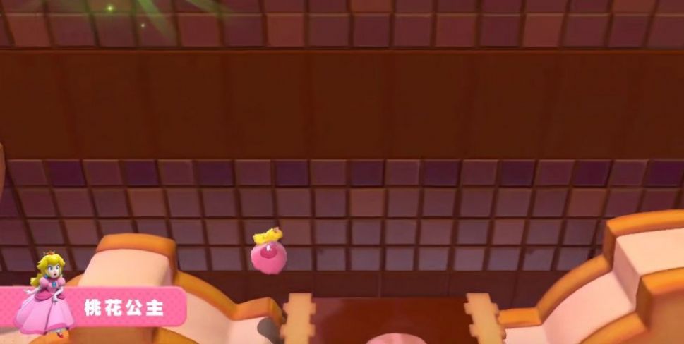 超级马力欧3D世界狂怒世界游戏图4