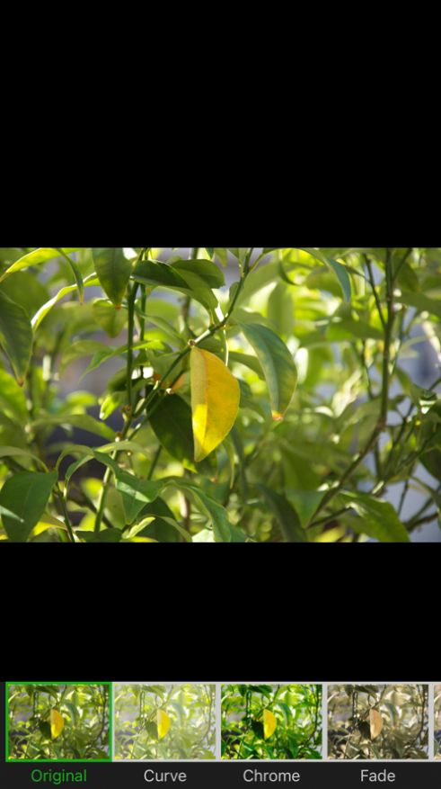 叮当视频图片编辑app图2