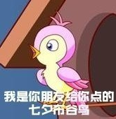 七夕布谷鸟不孤不孤表情包图5