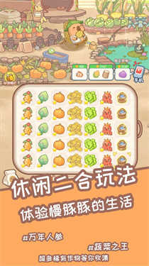 慢豚豚的生活图3