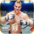 MMA搏击游戏安卓版下载  v1.5