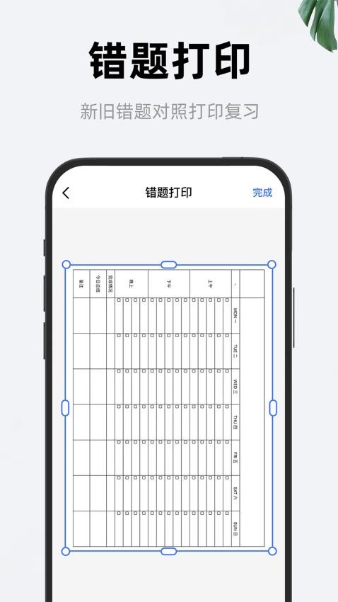 喵喵错题打印机图2
