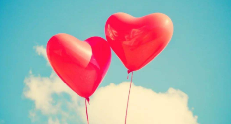 2022同志交友软件合集