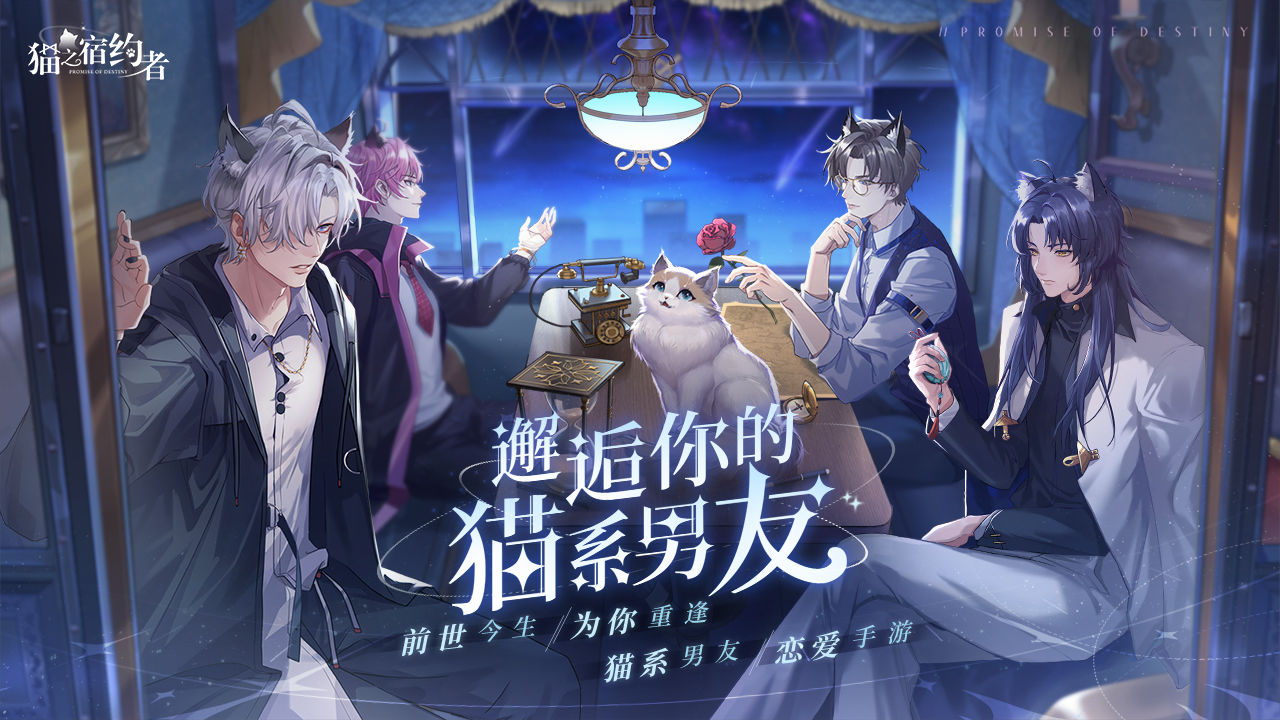 猫之宿约者合集