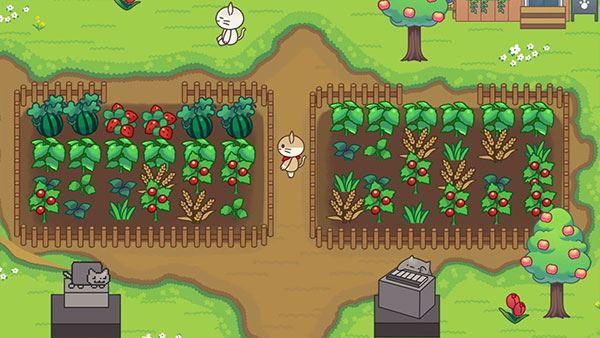 猫咪森林中文版图4