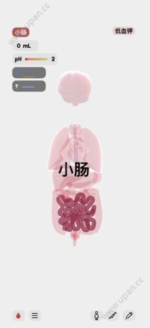 生命life安卓版图3