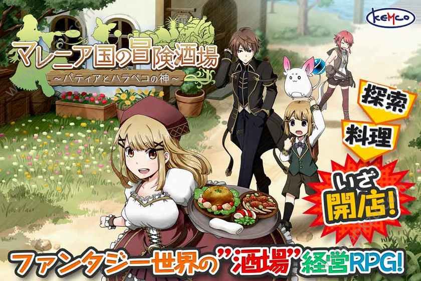 玛蕾尼亚国的冒险酒场游戏图3