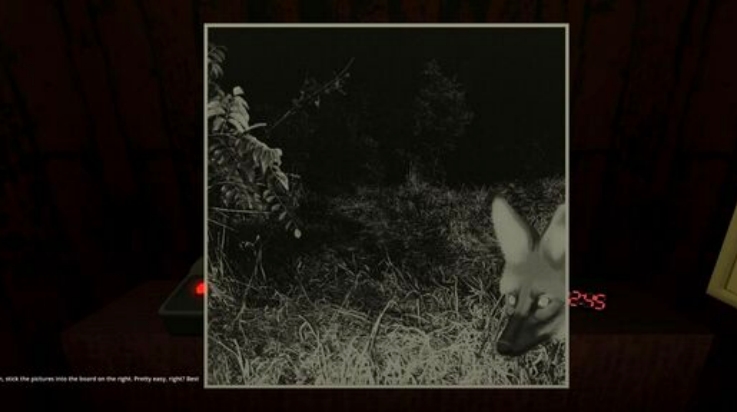 动物观察员游戏安卓版图3