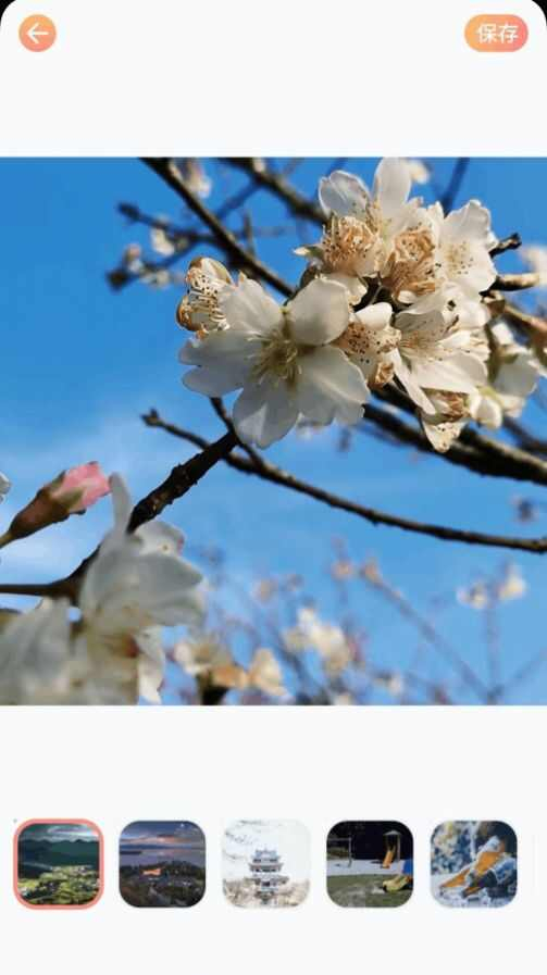 全民拍照大师图3