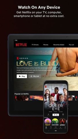 Netflix中文版图4