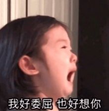 我们以后可不可以不要吵架了表情包动图图2