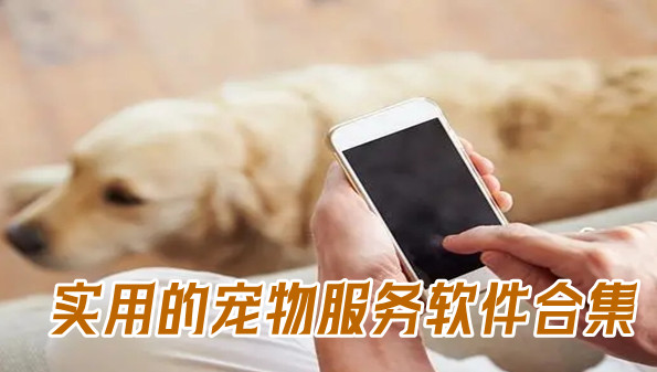 实用的宠物服务软件合集