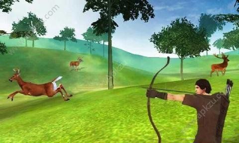 动物狩猎射击中文金币安卓版（Archery Animals Hunting）  v1.0图1