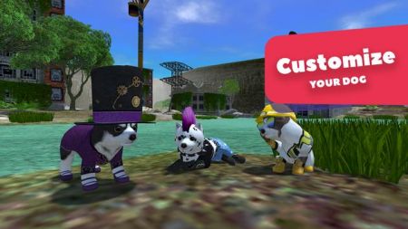 美国Zoom动物最新版官网版图4