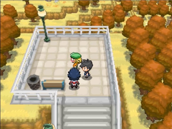 nds口袋妖怪白金金手指攻略汉化版  v4.8.0图1