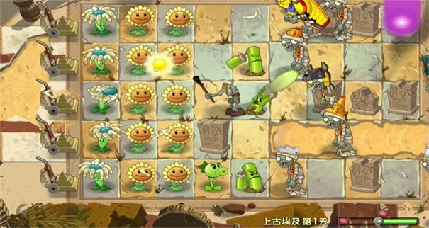 植物大战僵尸universe重制版图3