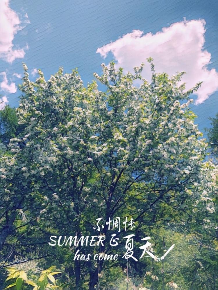 怀念2018年的夏天的图片图1