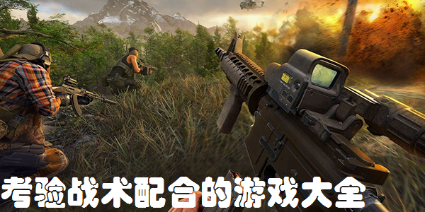 考验战术配合的游戏大全