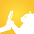 友猫app