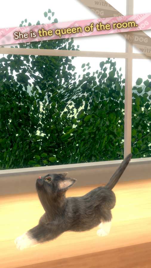 和我的猫在一起游戏官方版 v1.0图1