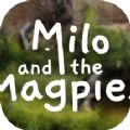 米洛和喜鹊安卓版